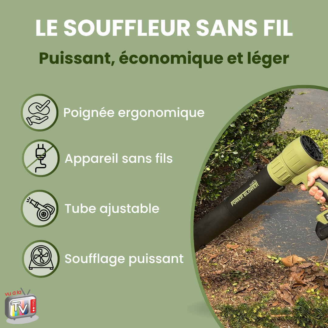 Souffleur à Batterie Sans Fil Puissant - 2x4000mAh, 25 Min Autonomie, Léger, Pour Jardin Et Terrasse